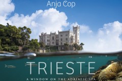 Anja Cop photography